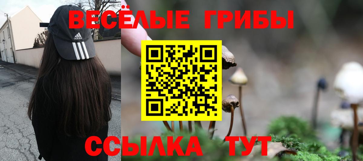 Псилоцибиновые грибы GOLDEN TEACHER Коряжма