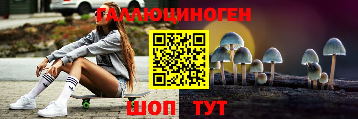 Коряжма  Псилоцибиновые грибы MAGIC MUSHROOMS  Вход с VPN 